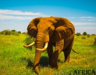 Tarangire National Park
